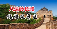 插逼视频网页中国北京-八达岭长城旅游风景区