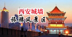 艹女的逼的网站中国陕西-西安城墙旅游风景区