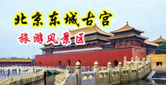 真人版操屄视频中国北京-东城古宫旅游风景区